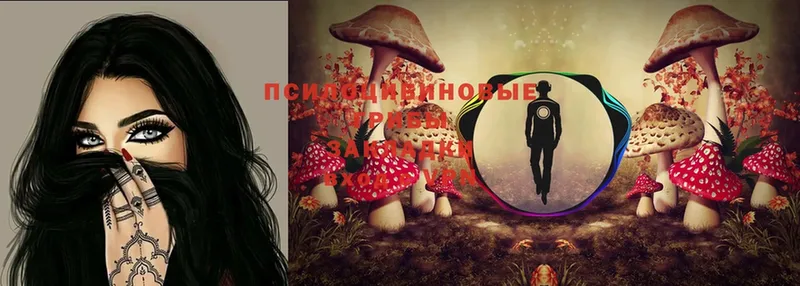 Галлюциногенные грибы MAGIC MUSHROOMS  купить   Черкесск 